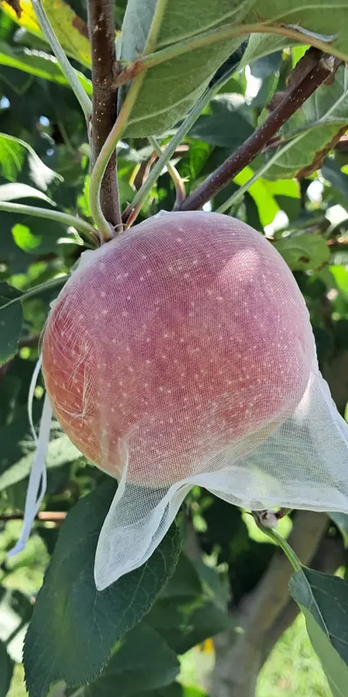 chi-siamo-azienda-agricola-scolaro-fabio-1