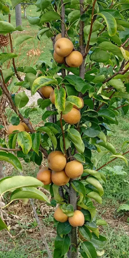 la-nostra-produzione-2